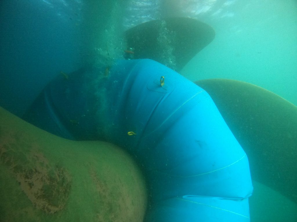 PHOTO-2026-01-15-16-45-05 2